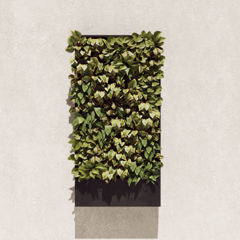 Jardim Vertical 5