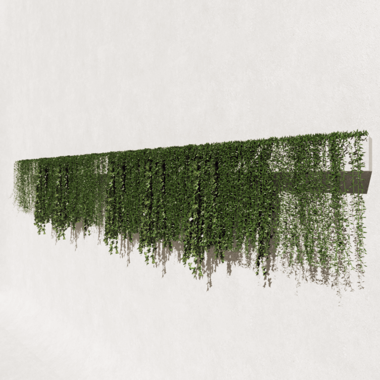 Jardineira 2