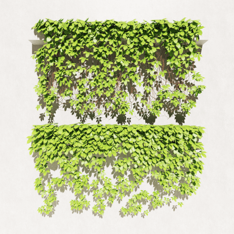 Jardineira 3