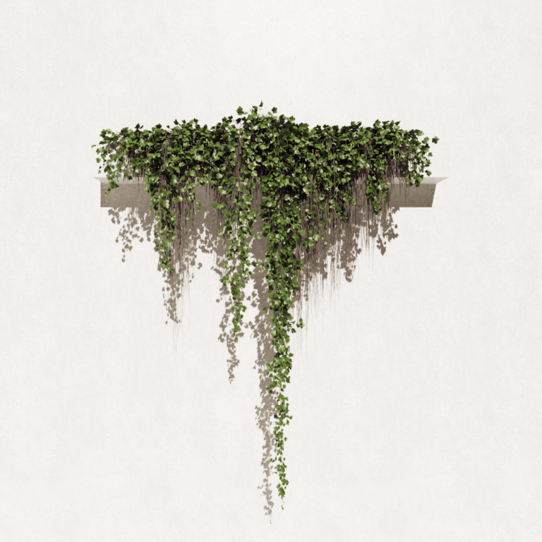 Jardineira 4