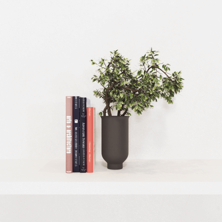 C3D - Livros prat e adorno
