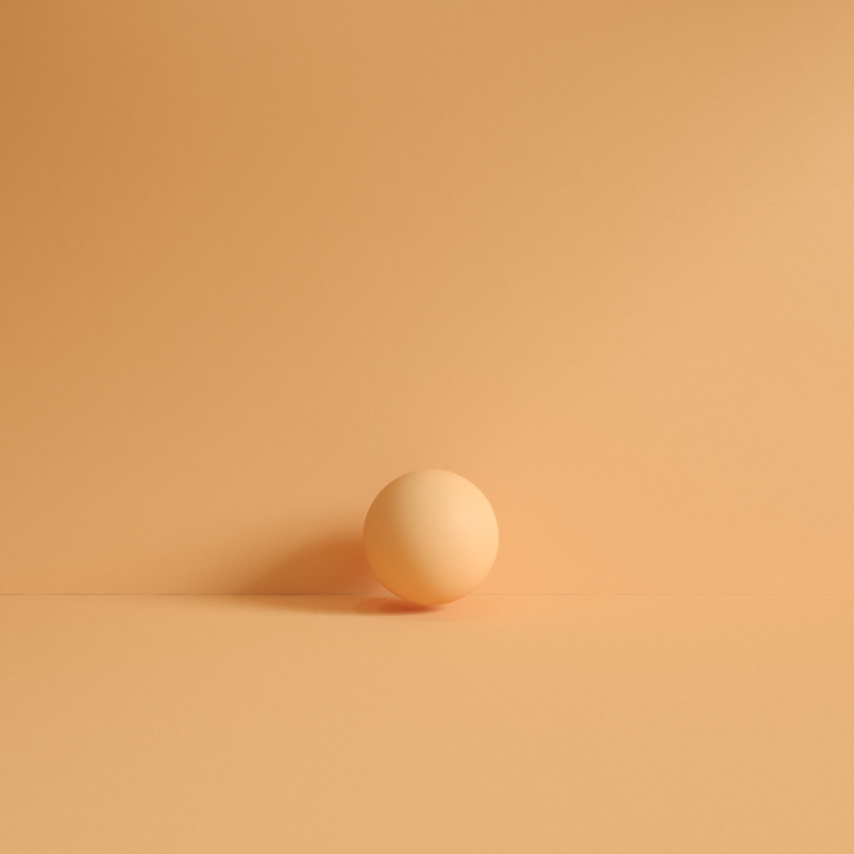 00 C3D - Flan de Papaia