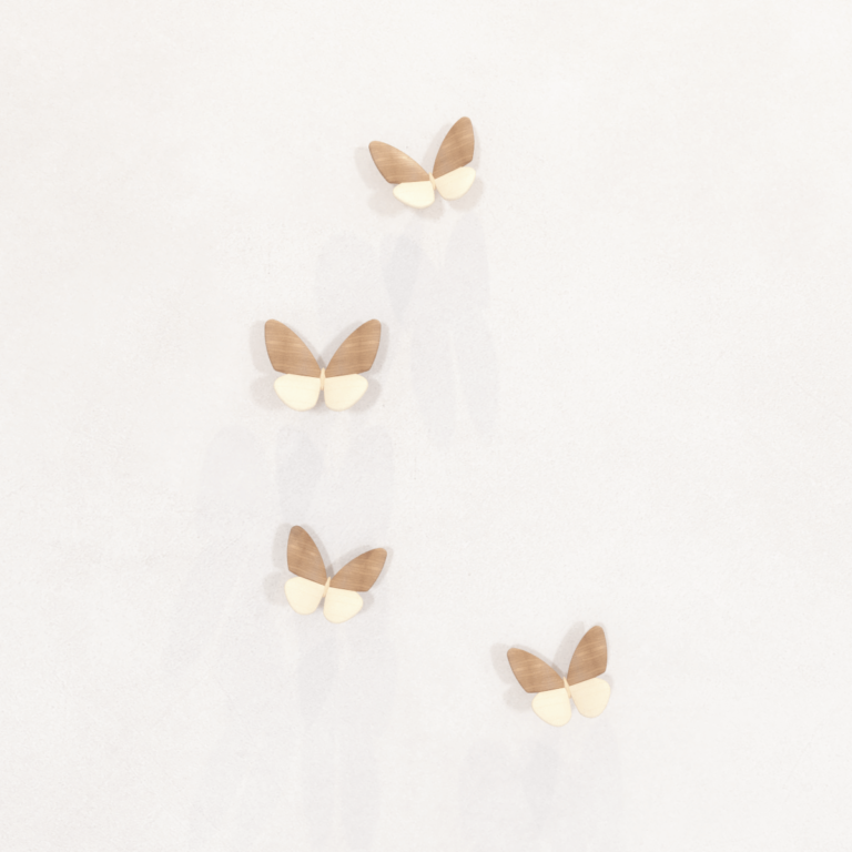 C3D - Borboletas - FAAS