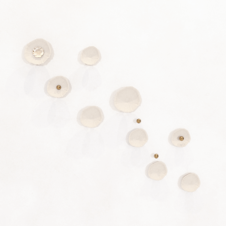 C3D - Conchas Flower - FAAS