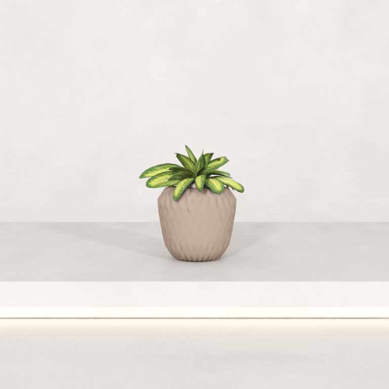 C3D - Arranjo 44