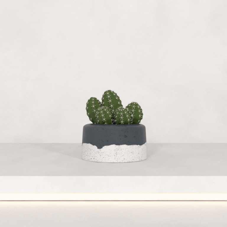 C3D - Arranjo Cactus 31