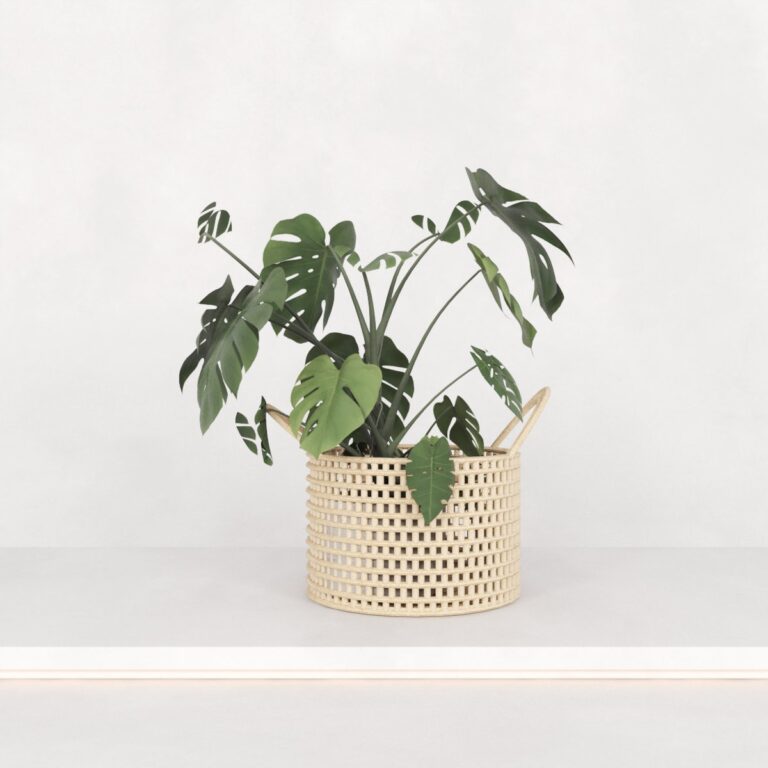 C3D - Vaso de Piso Monstera - cesto