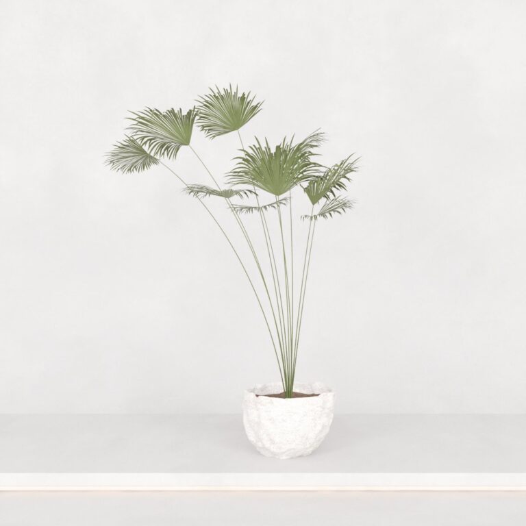 C3D - Vaso de Piso - palmeira
