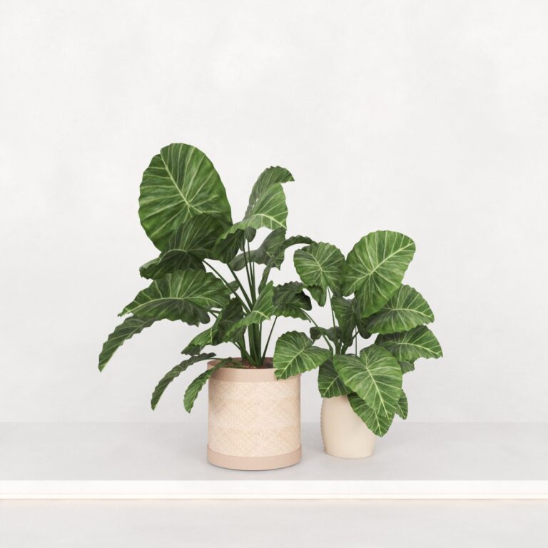 C3D - Vaso de piso - Naturale Oruy