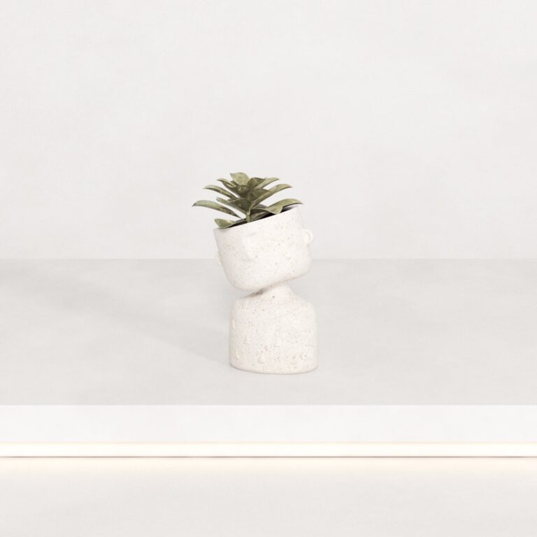 C3D - Vaso escultura com suculenta 01