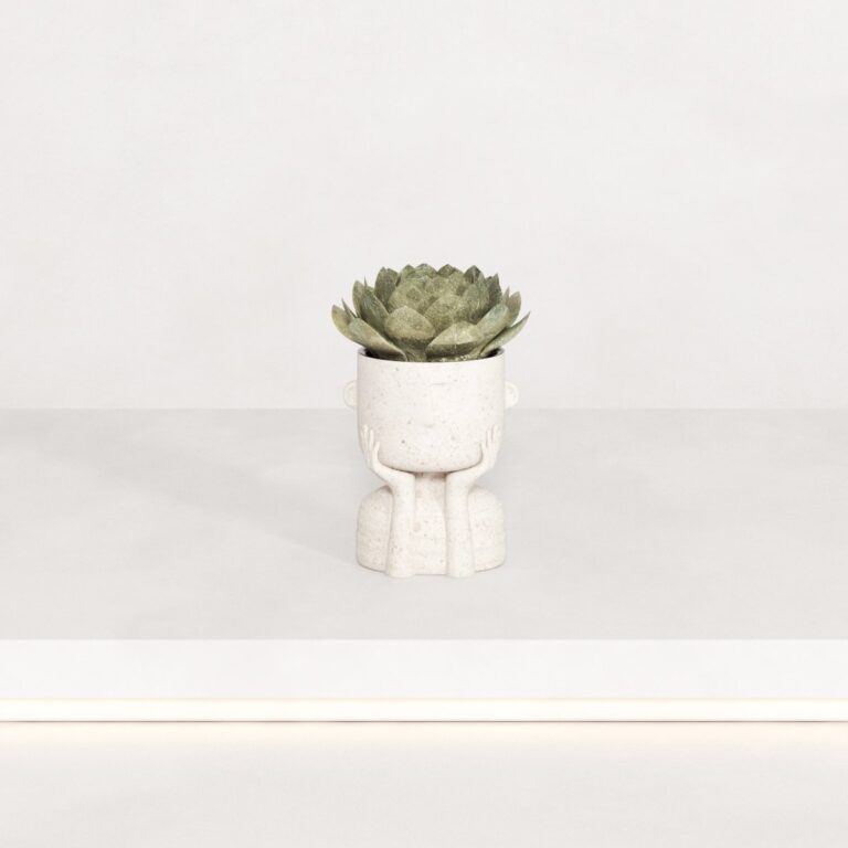 C3D - Vaso escultura com suculenta 02