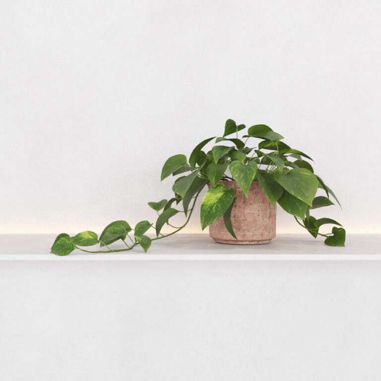 C3D - Planta Pendente