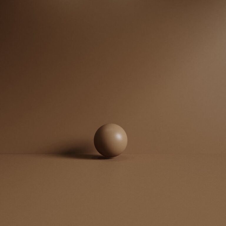 00 C3D - Anis