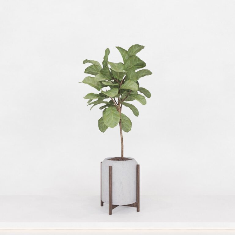 C3D - Vaso de piso