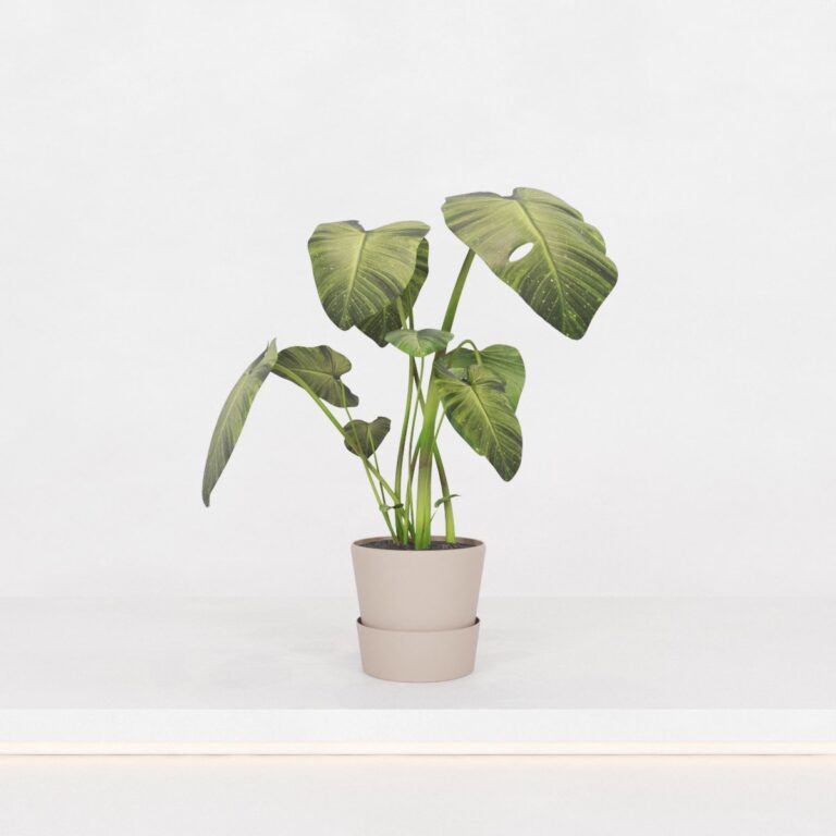 C3D - Vaso de piso