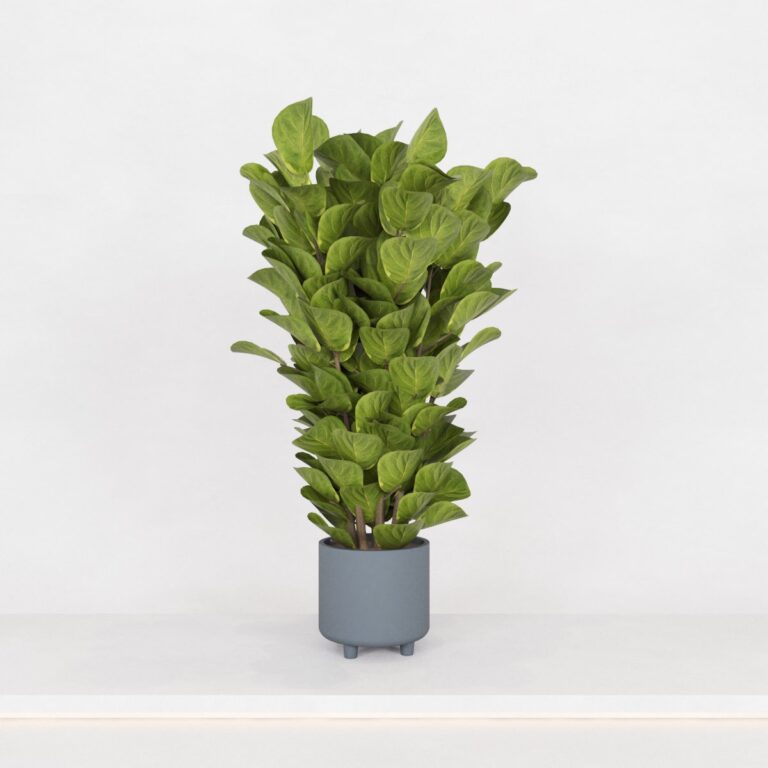 C3D - Vaso de piso